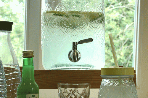Getränkespender mit Wasser, Zitrone und Eis, Tipps und Tricks gegen die Hitze